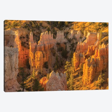 USA, Utah, Bryce Canyon National Park. Canyon overview. Canvas Print #JYG155} by Jaynes Gallery Canvas Artwork