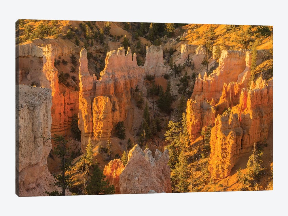 USA, Utah, Bryce Canyon National Park. Canyon overview. by Jaynes Gallery 1-piece Art Print