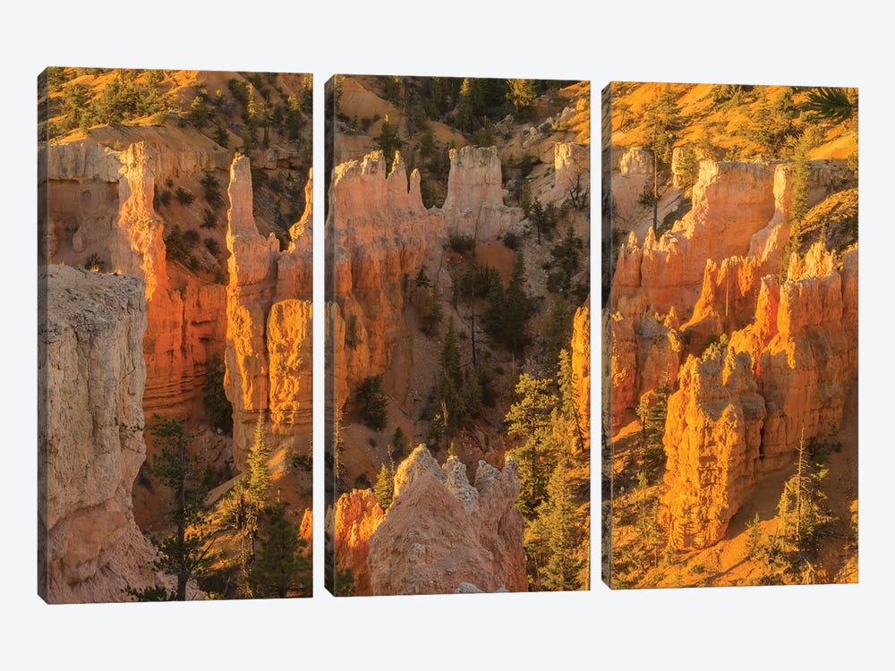 USA, Utah, Bryce Canyon National Park. Canyon overview. by Jaynes Gallery 3-piece Canvas Art Print