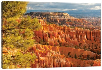 USA, Utah, Bryce Canyon National Park. Overview of canyon formations. Canvas Art Print - Bryce Canyon National Park Art