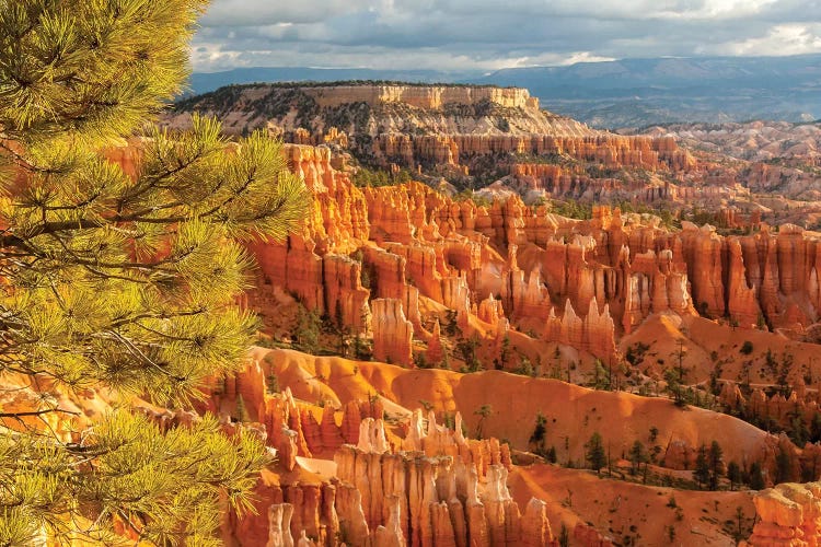 USA, Utah, Bryce Canyon National Park. Overview of canyon formations.