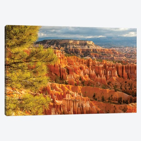 USA, Utah, Bryce Canyon National Park. Overview of canyon formations. Canvas Print #JYG156} by Jaynes Gallery Canvas Art