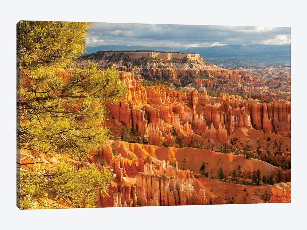 USA, Utah, Bryce Canyon National Park. Overview of canyon formations. by Jaynes Gallery 1-piece Canvas Wall Art