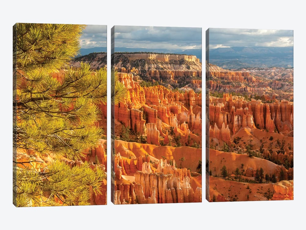 USA, Utah, Bryce Canyon National Park. Overview of canyon formations. by Jaynes Gallery 3-piece Canvas Wall Art