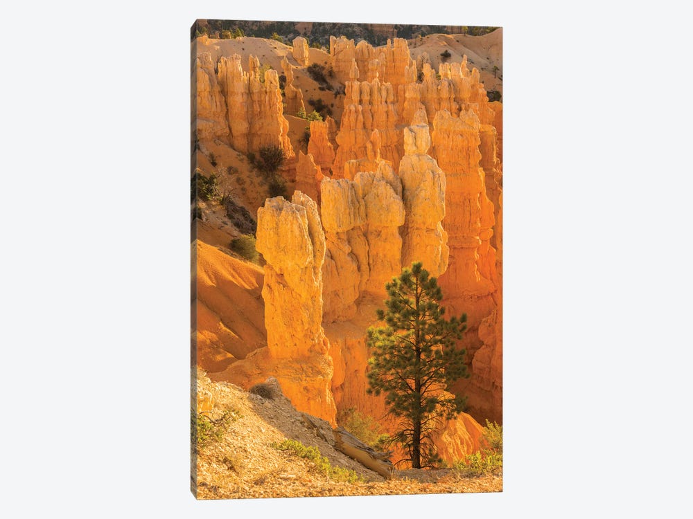 USA, Utah, Bryce Canyon National Park. Rock formations. by Jaynes Gallery 1-piece Art Print