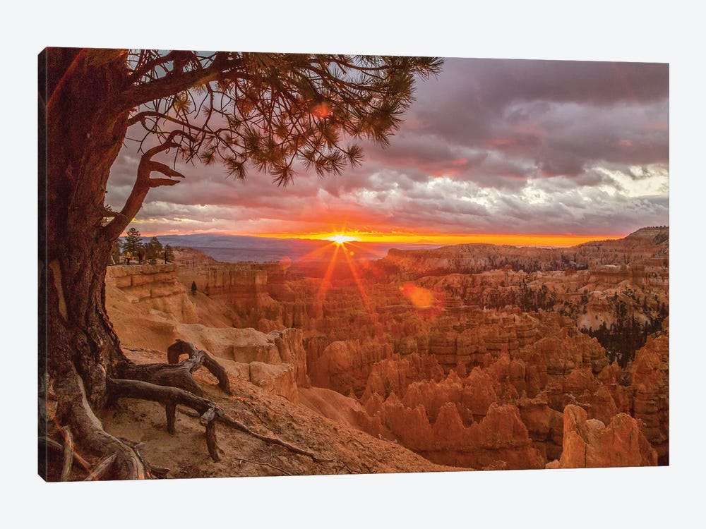 USA, Utah, Bryce Canyon National Park. Sunrise on canyon. by Jaynes Gallery 1-piece Canvas Art