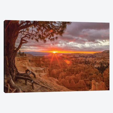 USA, Utah, Bryce Canyon National Park. Sunrise on canyon. Canvas Print #JYG158} by Jaynes Gallery Canvas Art Print