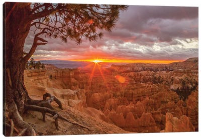 USA, Utah, Bryce Canyon National Park. Sunrise on canyon. Canvas Art Print - Sunrises & Sunsets Scenic Photography