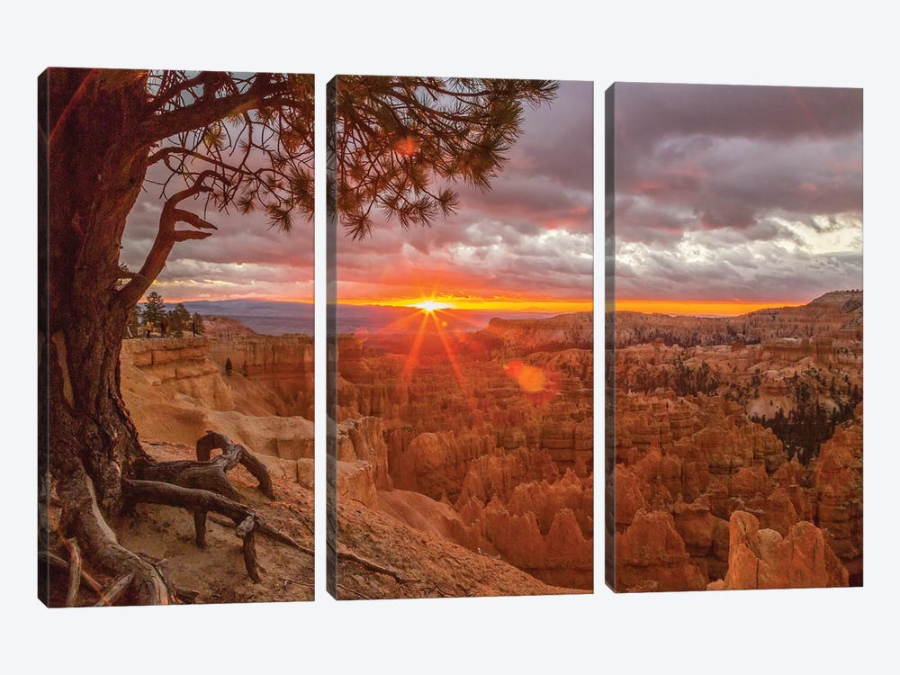 USA, Utah, Bryce Canyon National Park. Sunrise on canyon. by Jaynes Gallery 3-piece Canvas Art