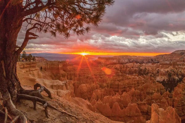 USA, Utah, Bryce Canyon National Park. Sunrise on canyon.