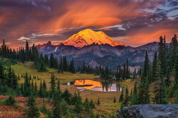Mt. Rainier National Park at sunrise. USA, Washington State.