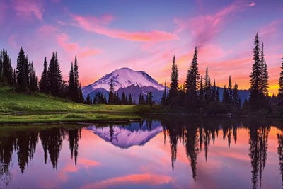 Mount Rainier National Park