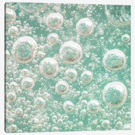 USA, Washington State, Seabeck. Bubbles frozen in ice I Canvas Print #JYG179} by Jaynes Gallery Canvas Art Print