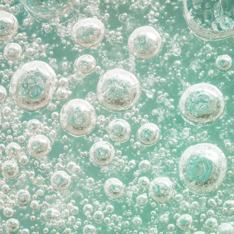 USA, Washington State, Seabeck. Bubbles frozen in ice I by Jaynes Gallery wall art