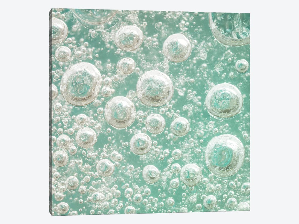 USA, Washington State, Seabeck. Bubbles frozen in ice I by Jaynes Gallery 1-piece Art Print