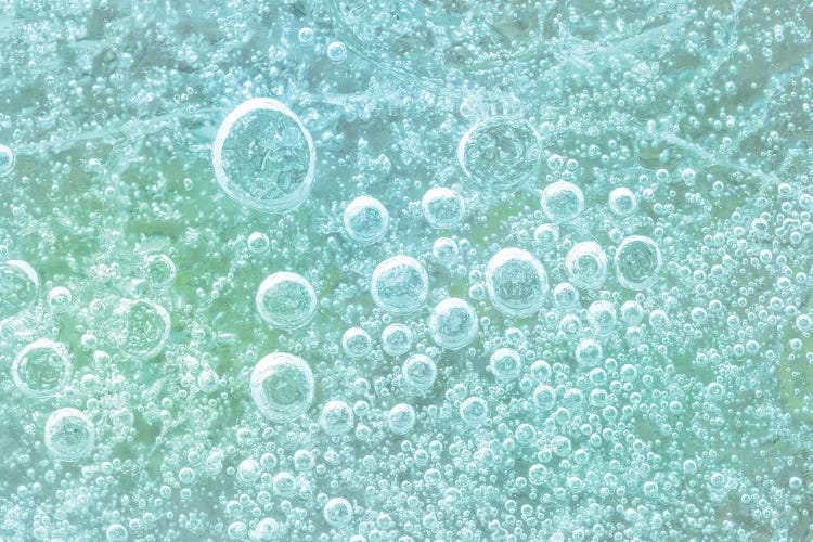 USA, Washington State, Seabeck. Bubbles frozen in ice II by Jaynes Gallery wall art