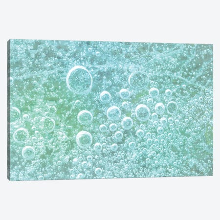 USA, Washington State, Seabeck. Bubbles frozen in ice II Canvas Print #JYG180} by Jaynes Gallery Canvas Art