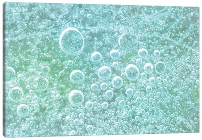 USA, Washington State, Seabeck. Bubbles frozen in ice II Canvas Art Print