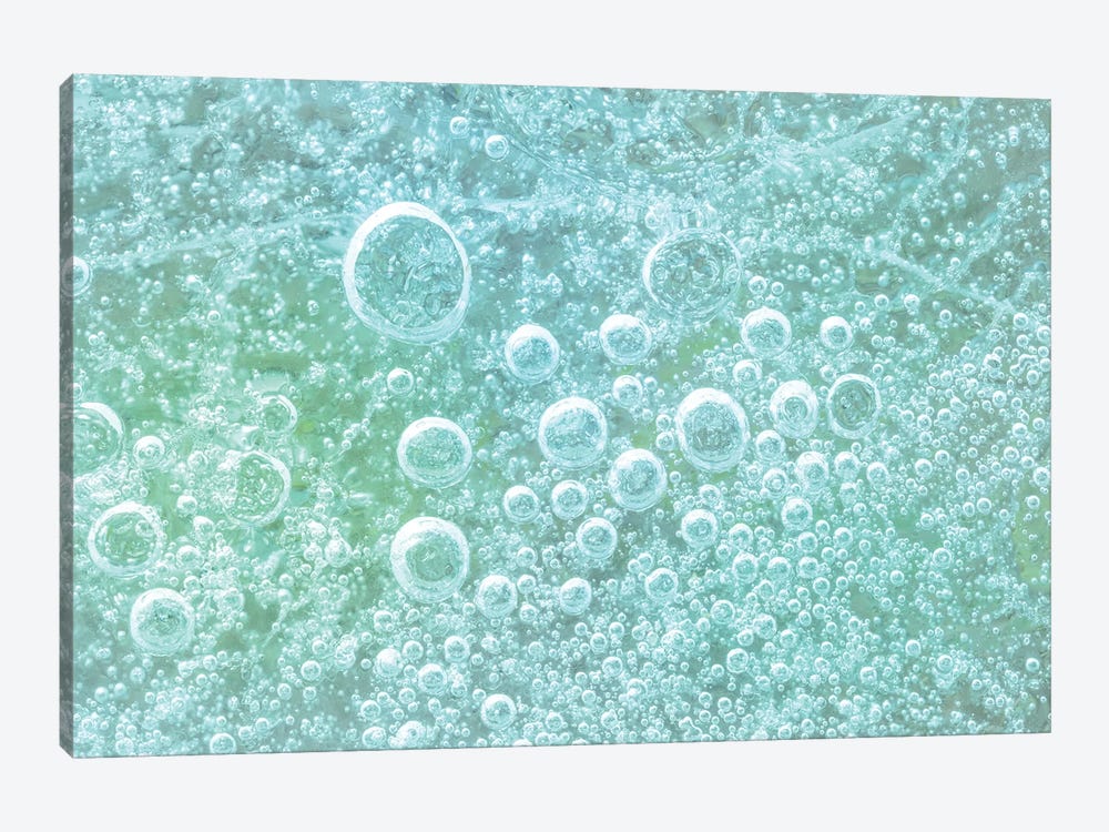 USA, Washington State, Seabeck. Bubbles frozen in ice II by Jaynes Gallery 1-piece Art Print