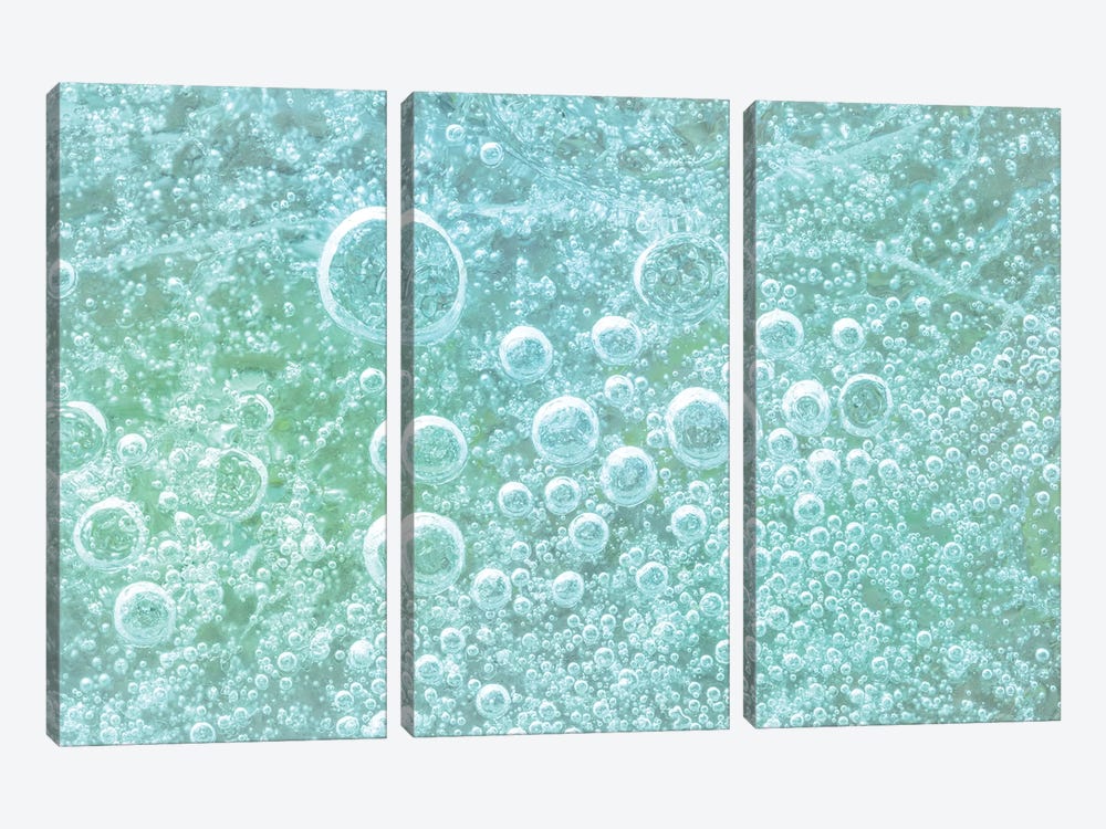 USA, Washington State, Seabeck. Bubbles frozen in ice II 3-piece Canvas Print