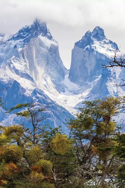 Snowy Mountains: Chile, Patagonia. The Horns mountains II by Jaynes Gallery