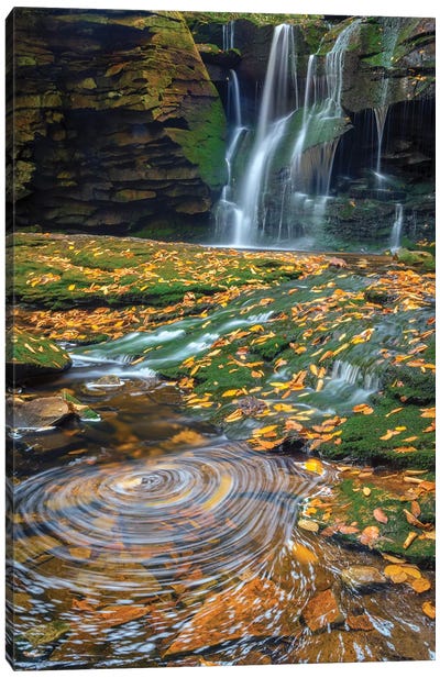 USA, West Virginia, Blackwater Falls State Park. Waterfall and whirlpool scenic. Canvas Art Print - Waterfall Art