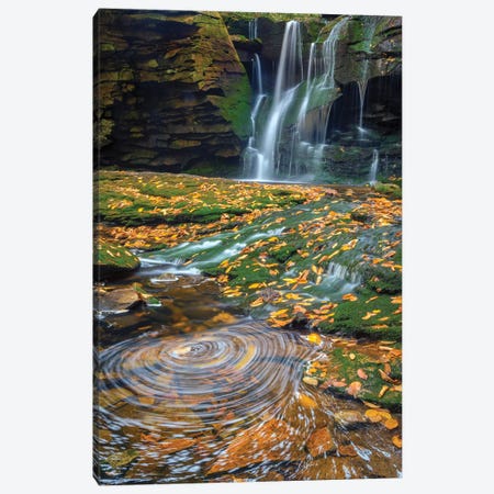 USA, West Virginia, Blackwater Falls State Park. Waterfall and whirlpool scenic. Canvas Print #JYG202} by Jaynes Gallery Canvas Print