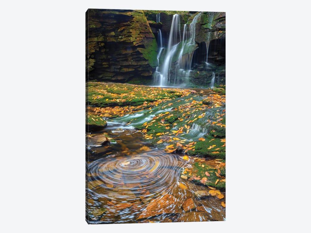 USA, West Virginia, Blackwater Falls State Park. Waterfall and whirlpool scenic. by Jaynes Gallery 1-piece Art Print