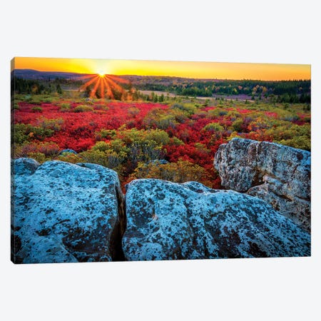 USA, West Virginia, Dolly Sods Wilderness Area. Sunset on tundra and rocks. Canvas Print #JYG203} by Jaynes Gallery Art Print