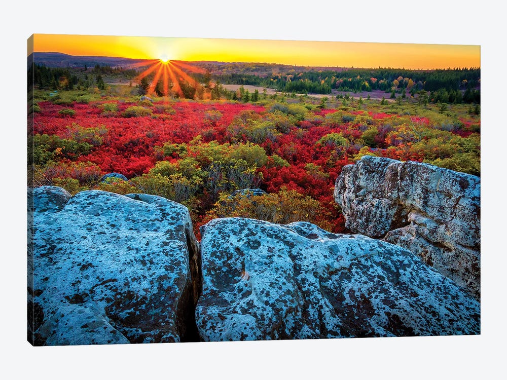 USA, West Virginia, Dolly Sods Wilderness Area. Sunset on tundra and rocks. by Jaynes Gallery 1-piece Canvas Art