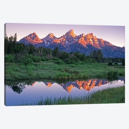 USA, Wyoming, Grand Teton National Park. Mountains reflect in beaver pond at sunrise. Canvas Print #JYG204} by Jaynes Gallery Canvas Artwork