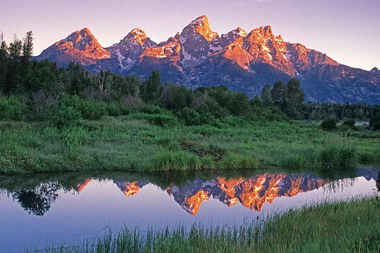 USA, Wyoming, Grand Teton National Park. Mountains reflect in beaver pond at sunrise.