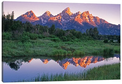 USA, Wyoming, Grand Teton National Park. Mountains reflect in beaver pond at sunrise. Canvas Art Print - Wyoming Art
