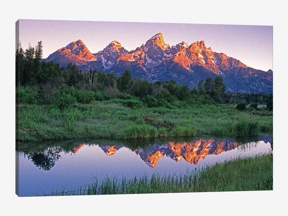 USA, Wyoming, Grand Teton National Park. Mountains reflect in beaver pond at sunrise. by Jaynes Gallery 1-piece Canvas Print