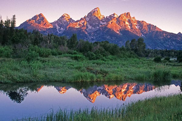 Wyoming: USA, Wyoming, Grand Teton National Park. Mountains reflect in beaver pond at sunrise. by Jaynes Gallery