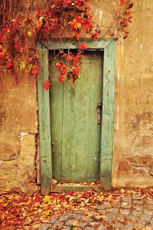 Czech Republic, Prague. Weathered door. 