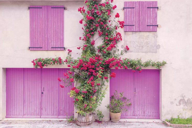 France, Provence. Colorful house facade. 