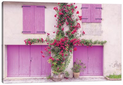 France, Provence. Colorful house facade.  Canvas Art Print - Ivy & Vine Art