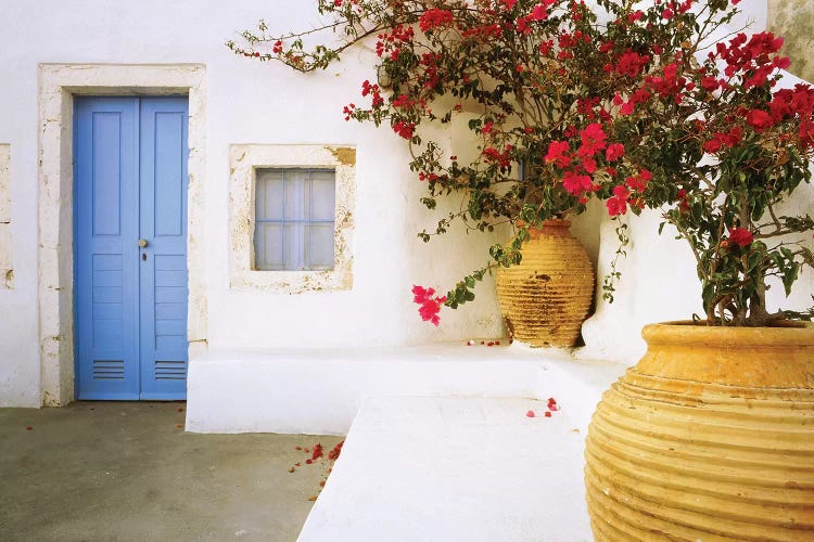 Greece, Santorini. Blue door to house and potted flowers. 