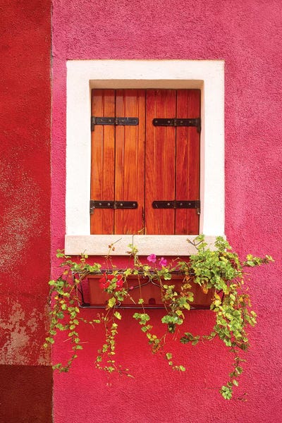 Italy, Burano. Colorful window and walls.