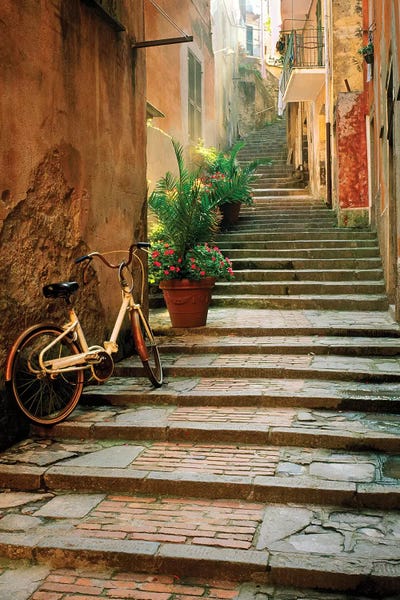 Staircases: Italy, Cinque Terre, Monterosso. Bicycle and uphill stairway.  by Jaynes Gallery
