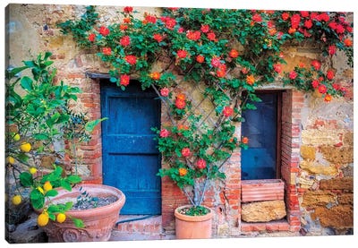 Italy, Val d' Orcia. two doors with vegetation  Canvas Art Print - Door Art