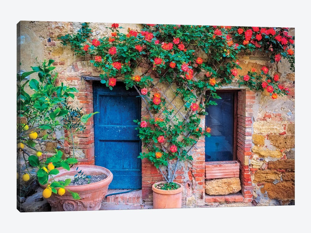 Italy, Val d' Orcia. two doors with vegetation  by Jaynes Gallery 1-piece Canvas Art