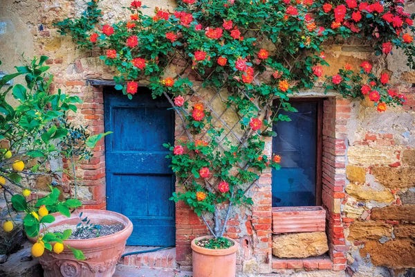 Italy, Val d' Orcia. two doors with vegetation