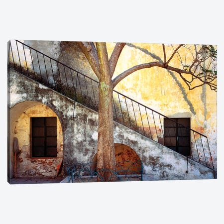 Mexico, Queretaro. Tree and weathered stairway.  Canvas Print #JYG304} by Jaynes Gallery Canvas Art Print
