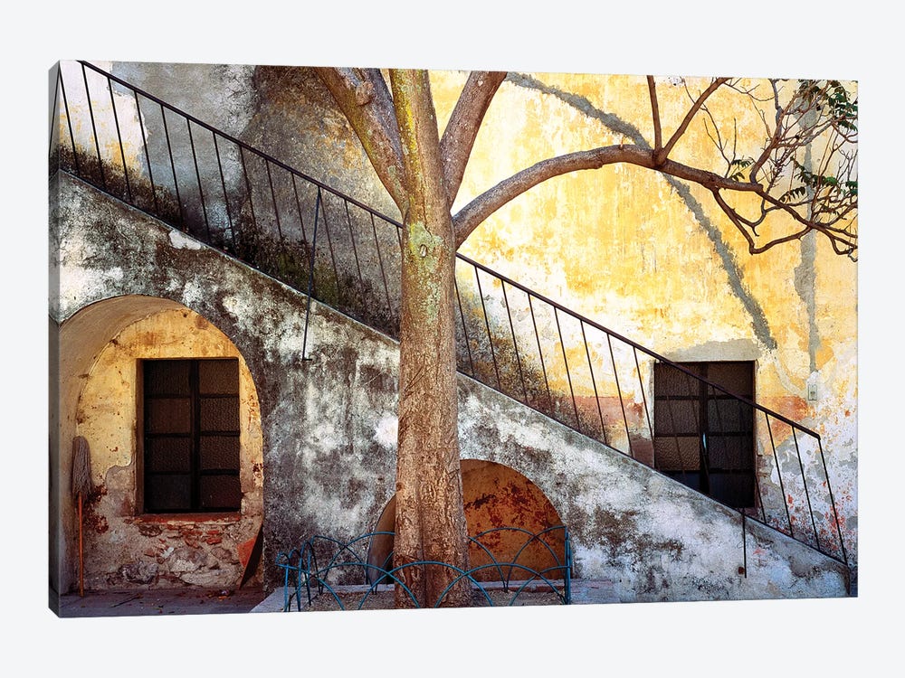 Mexico, Queretaro. Tree and weathered stairway.  by Jaynes Gallery 1-piece Canvas Wall Art
