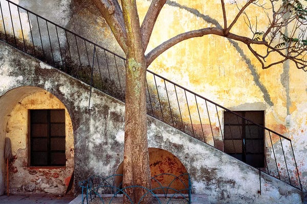 Staircases: Mexico, Queretaro. Tree and weathered stairway.  by Jaynes Gallery