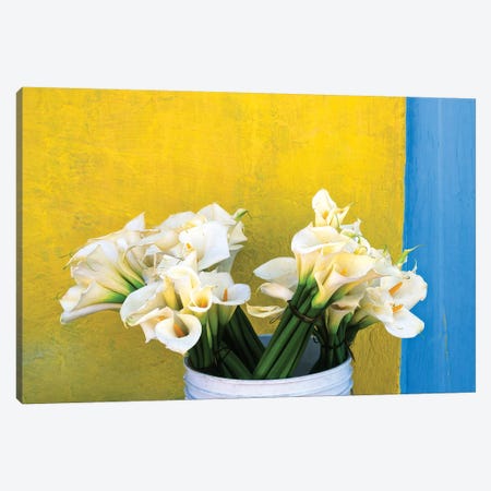 Mexico, Xico. Calla lilies and colorful wall.  Canvas Print #JYG312} by Jaynes Gallery Art Print