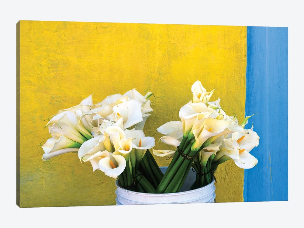 Mexico, Xico. Calla lilies and colorful wall.  by Jaynes Gallery 1-piece Canvas Print