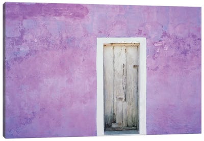 Mexico, Xico. House entrance.  Canvas Art Print - Door Art